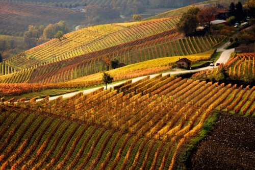 Roero e Langhe in autunno