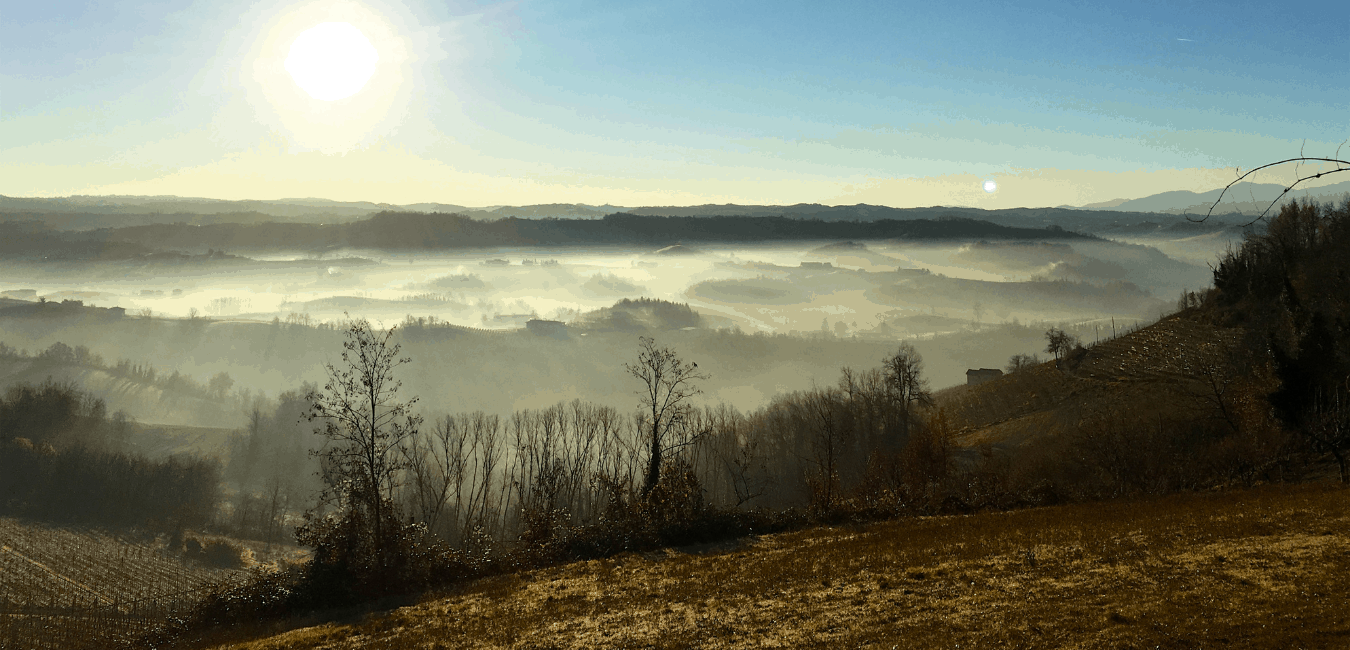 autunno langhe e roero