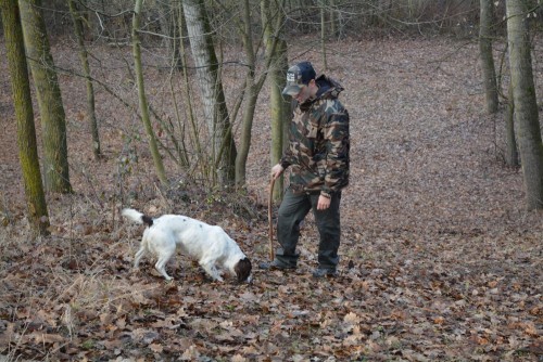 ricerca del tartufo langhe