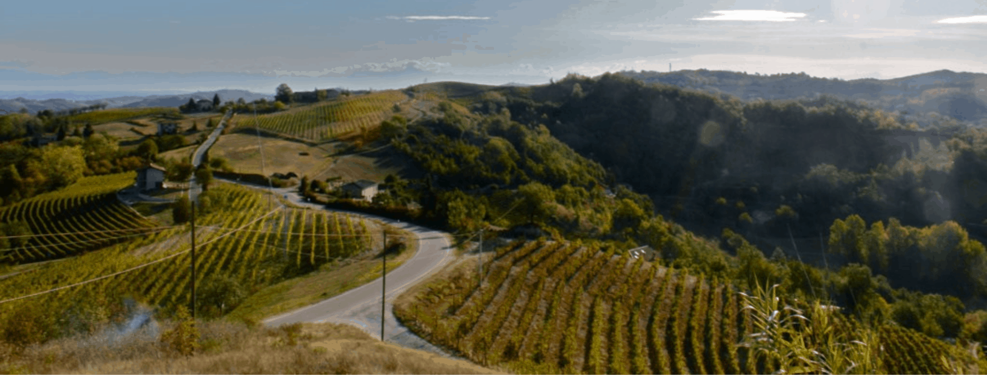 Langhe in primaver