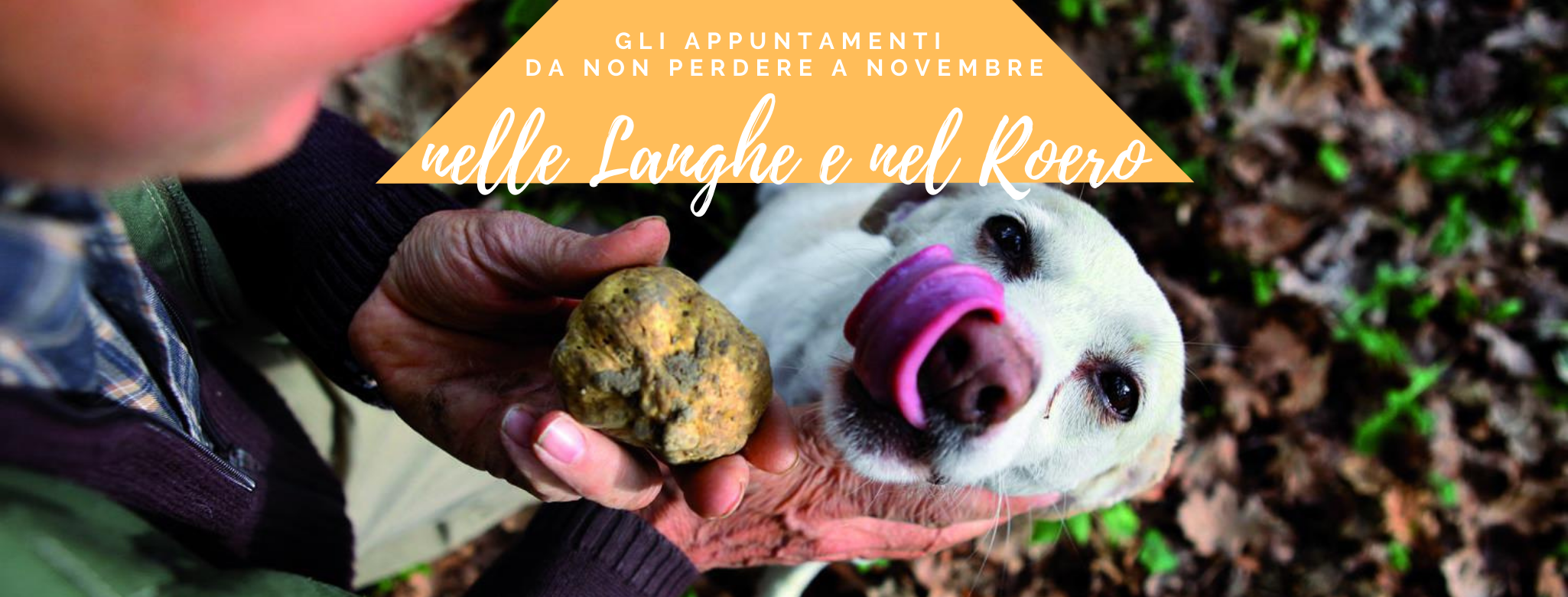 novembre nelle langhe