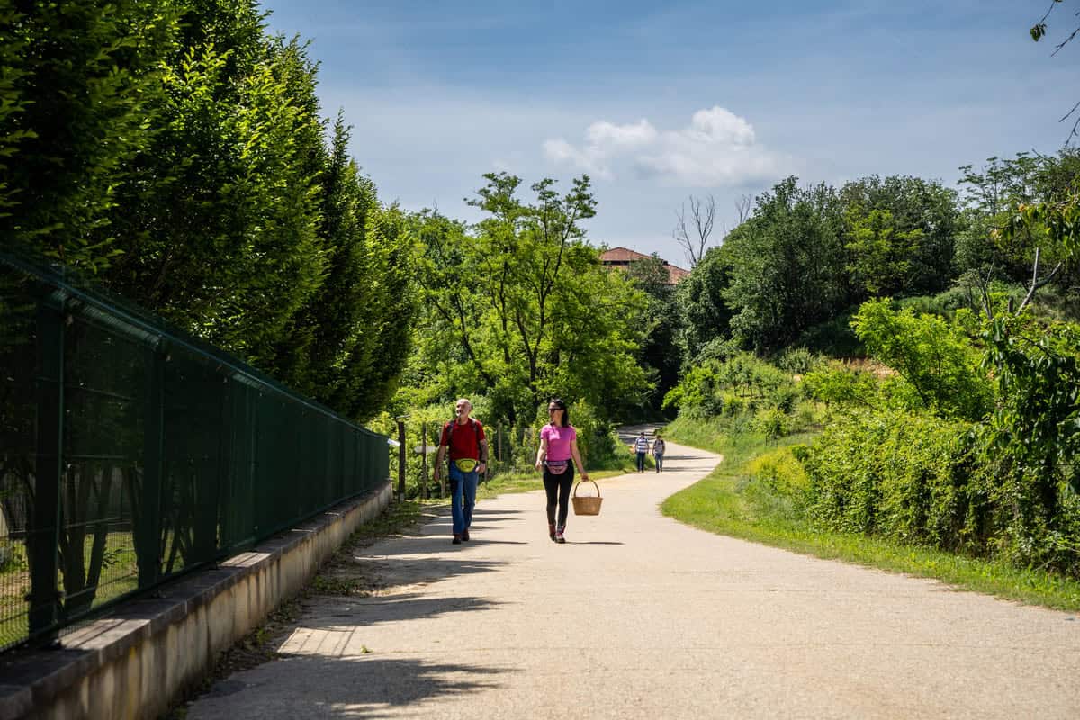 Portè Disnè passeggiata enogastronomia da Montà a Canale